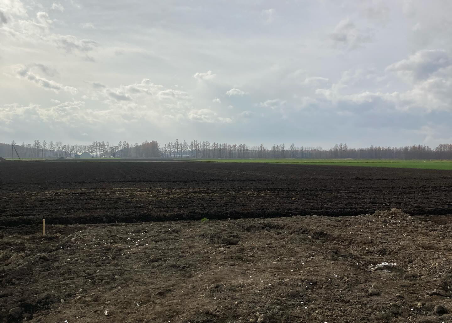 【音更】思いを新たにする地鎮祭、無事終了。