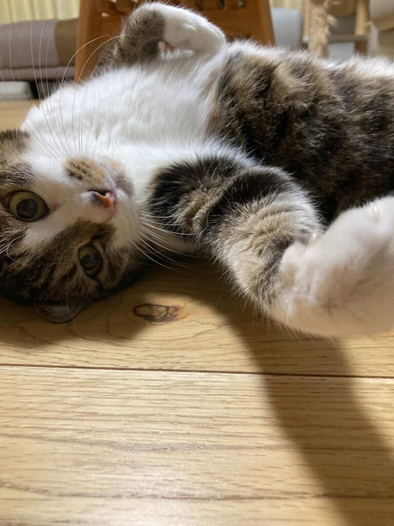 全ての建物の工程に愛情を持って…