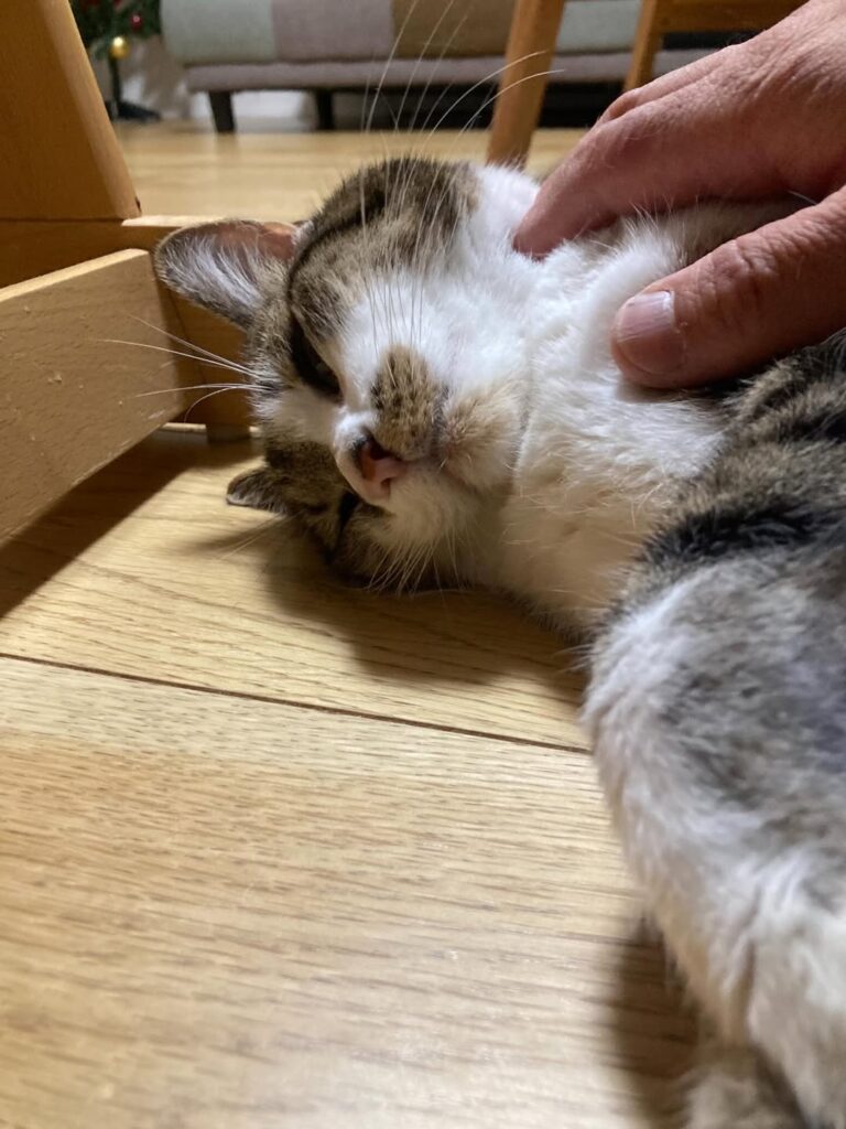 全ての建物の工程に愛情を持って…