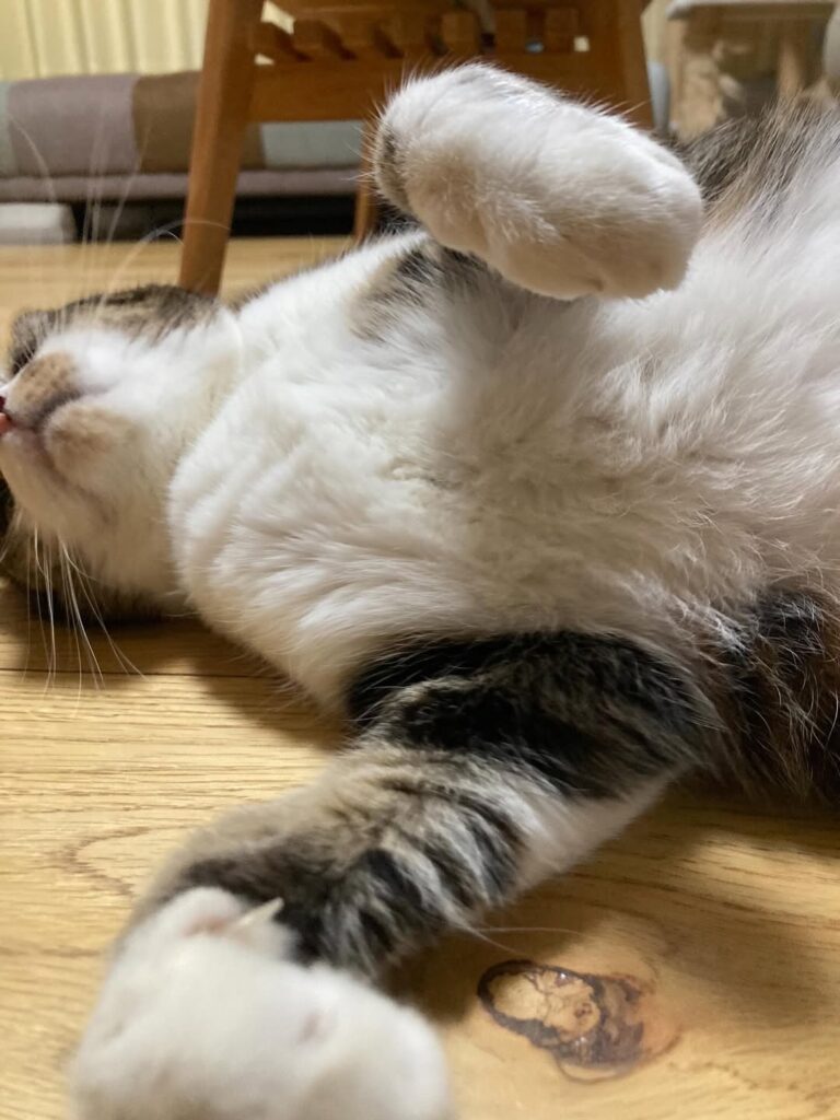 全ての建物の工程に愛情を持って…