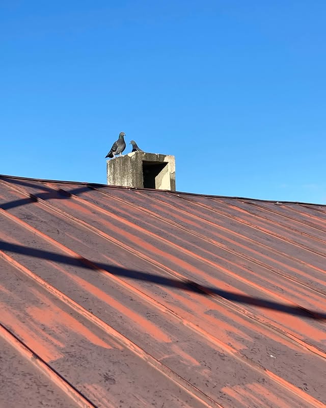 【帯広】資産価値向上。信頼で繋がるフルリノベーション。